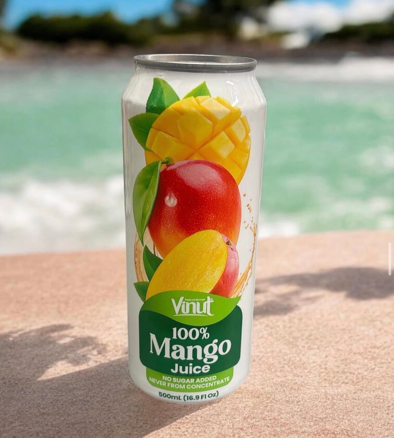 Vinut 100% Mango Juice 24/16.9oz